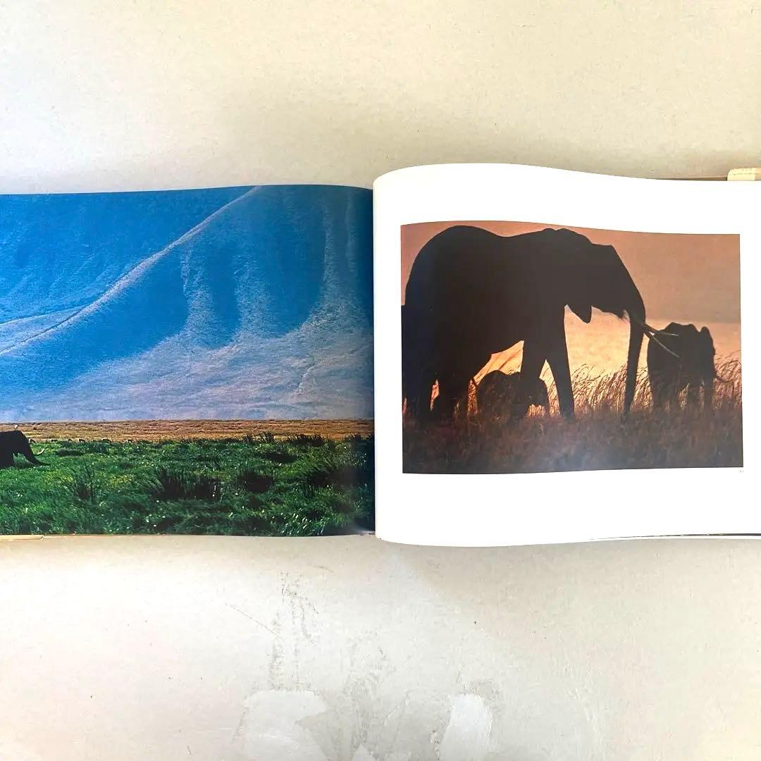 巨匠エルンストハースの写真集2冊組