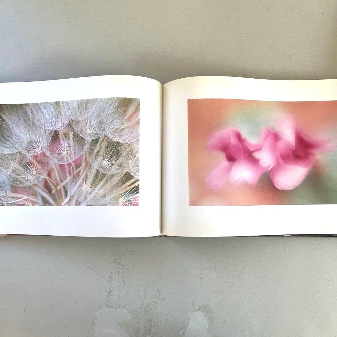 巨匠エルンストハースの写真集2冊組