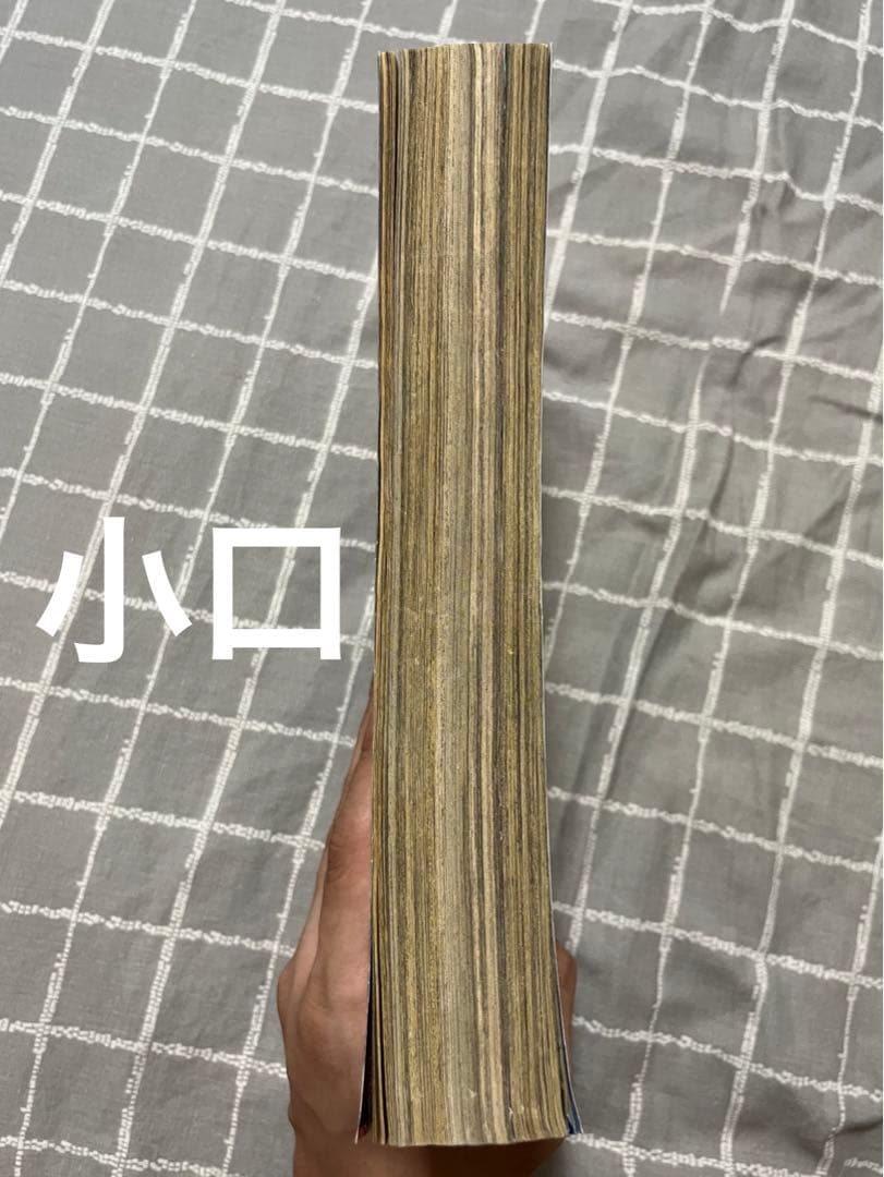 週刊少年サンデー　マギ新連載号