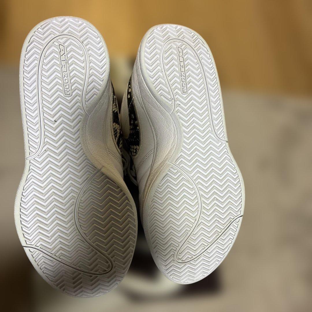 BOOK1 ブック1 ラトルスネーク