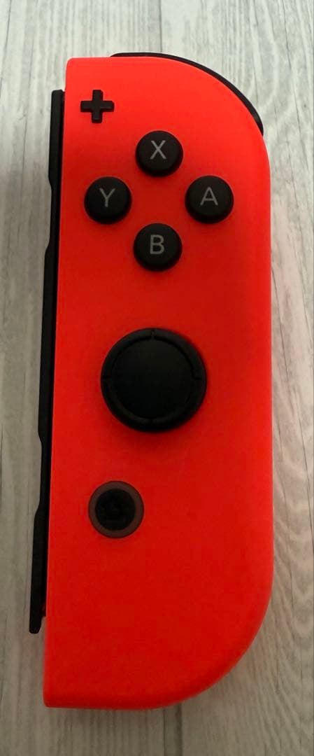 Nintendo Switch 本体　ケースサクナヒメ　モンスターハンターライズ