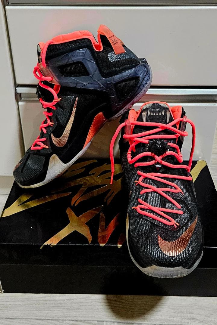 新品未使用Nike LeBron XII ELITE 12 31cm
