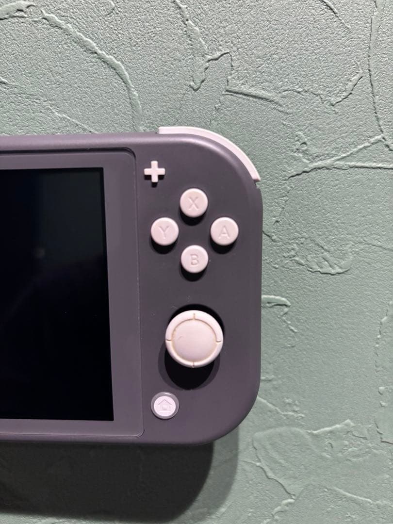 Nintendo Switch Lite グレー　画面保護フィルム付き