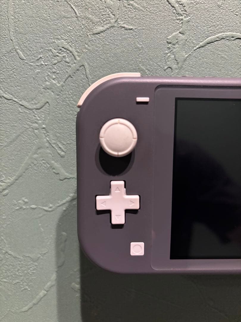 Nintendo Switch Lite グレー　画面保護フィルム付き