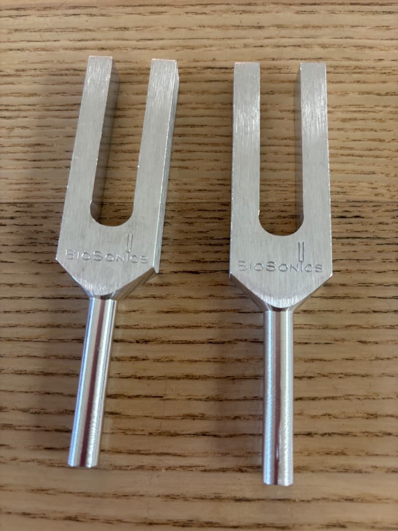 ヒーリングチューナー(音叉)と全脳活性アロマ　地の氣