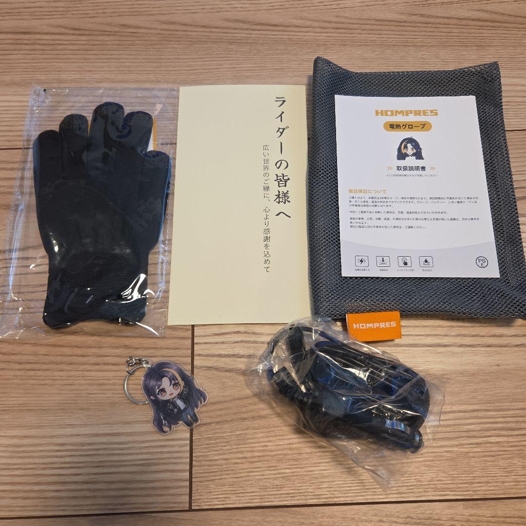 ✨HOMPRES 電熱グローブ Mサイズ