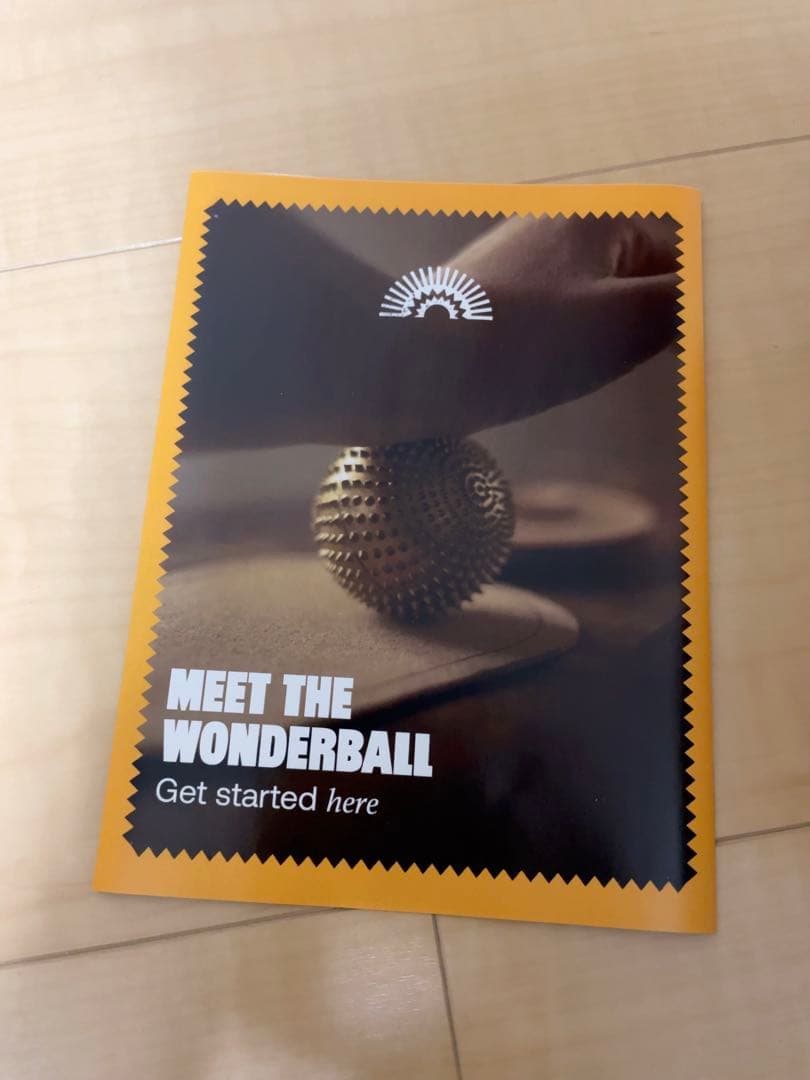 Shakti シャクティ未使用品Wonderball ワンダーボール正規品
