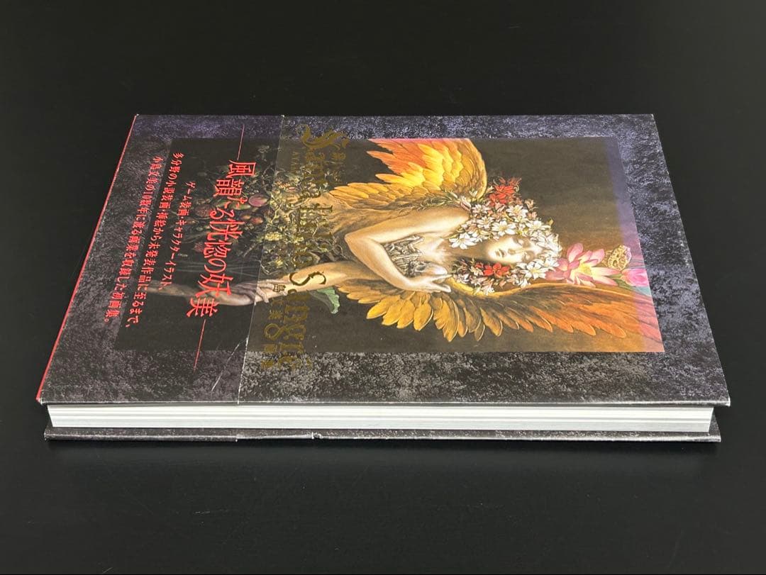 小島文美 画集 緋いユリ Santa Lilio Sangre