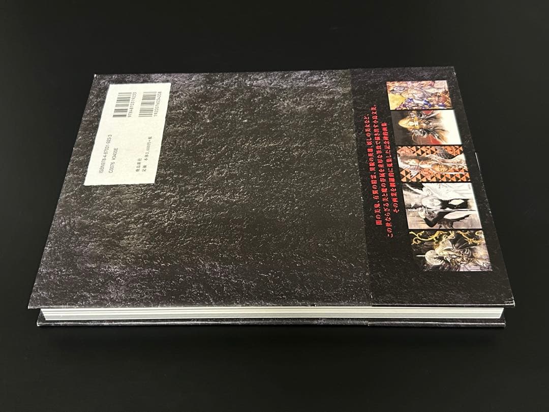 小島文美 画集 緋いユリ Santa Lilio Sangre