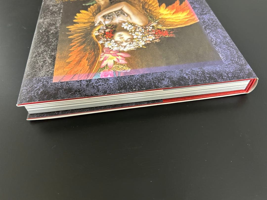 小島文美 画集 緋いユリ Santa Lilio Sangre