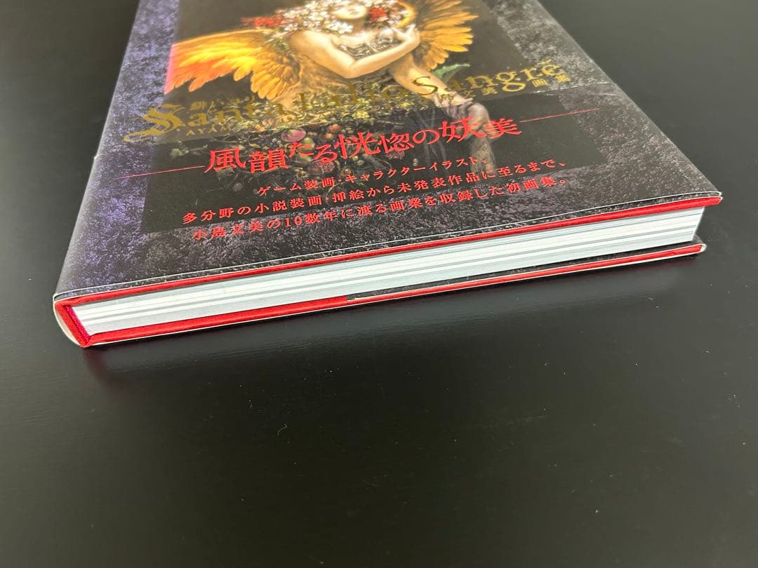 小島文美 画集 緋いユリ Santa Lilio Sangre