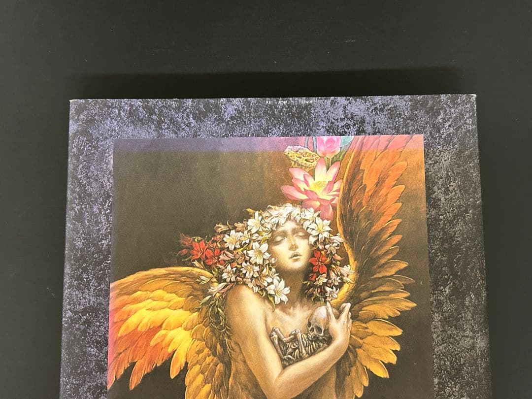 小島文美 画集 緋いユリ Santa Lilio Sangre