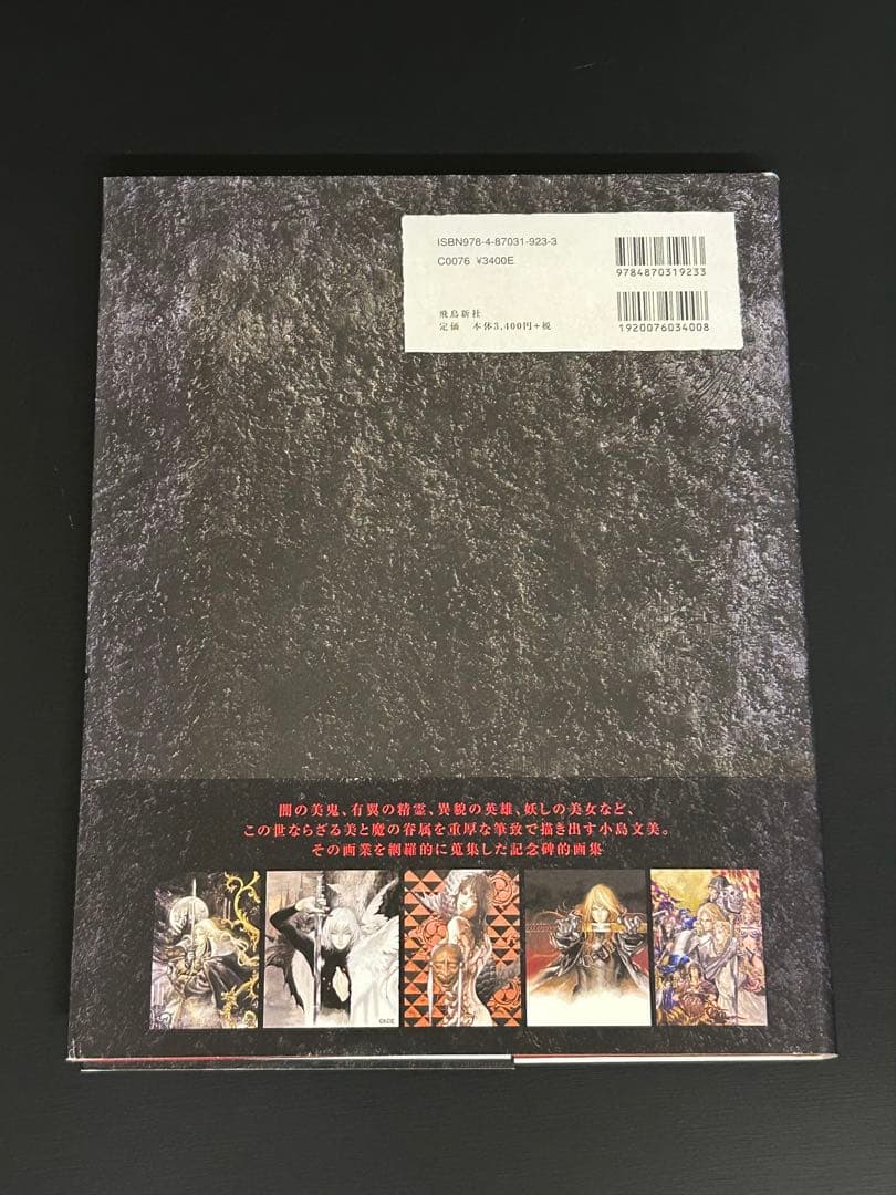 小島文美 画集 緋いユリ Santa Lilio Sangre