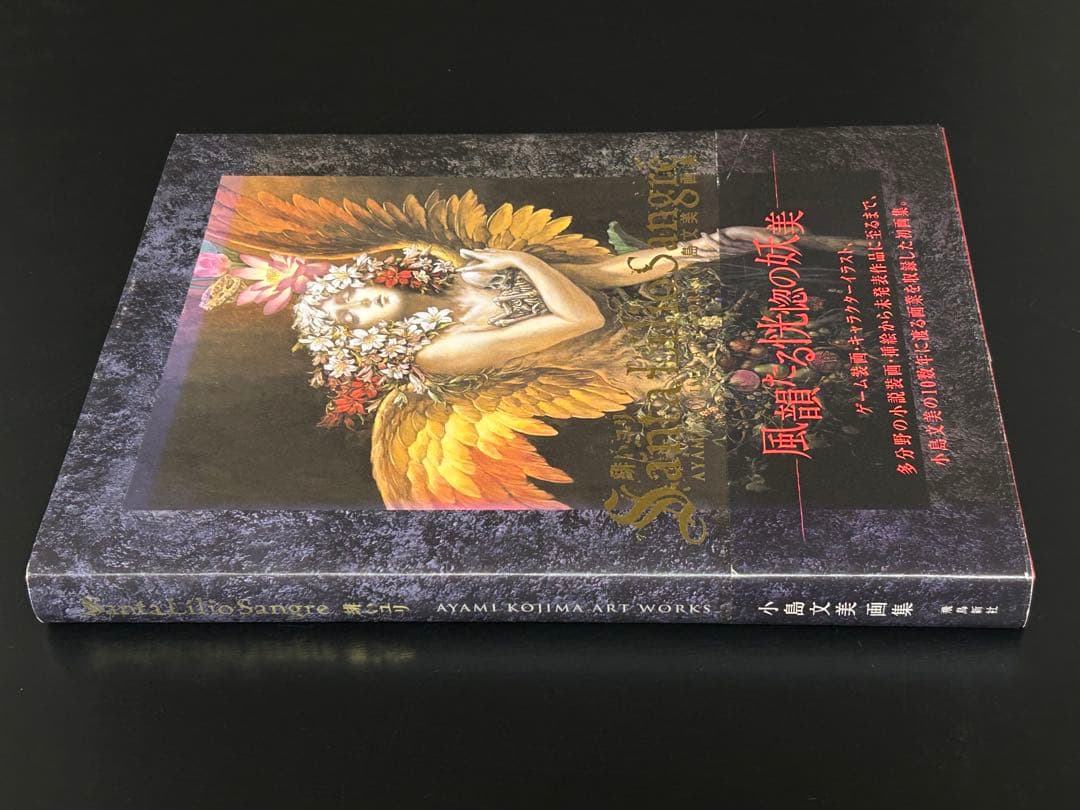 小島文美 画集 緋いユリ Santa Lilio Sangre