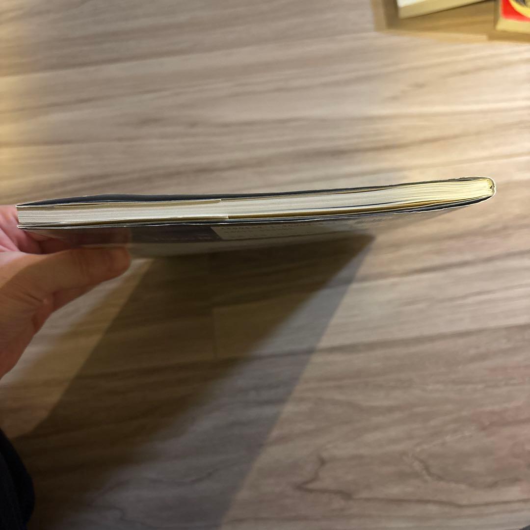 胸部硬膜外麻酔 MLA