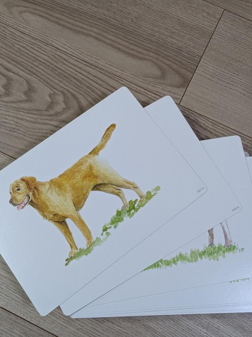 かな絵ちゃん Aセット 6冊