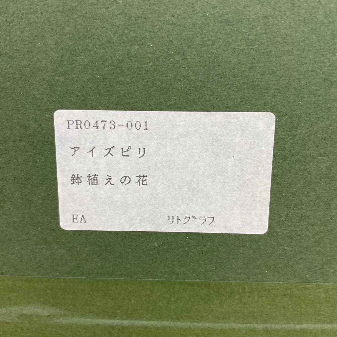 o*n様 ポール・アイズピリ　鉢植えの花　グリーンの縁取りの花束