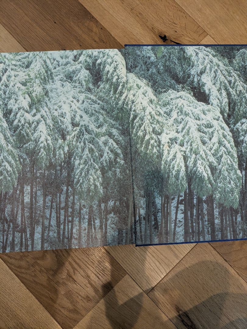 むきもの技法全3巻セット