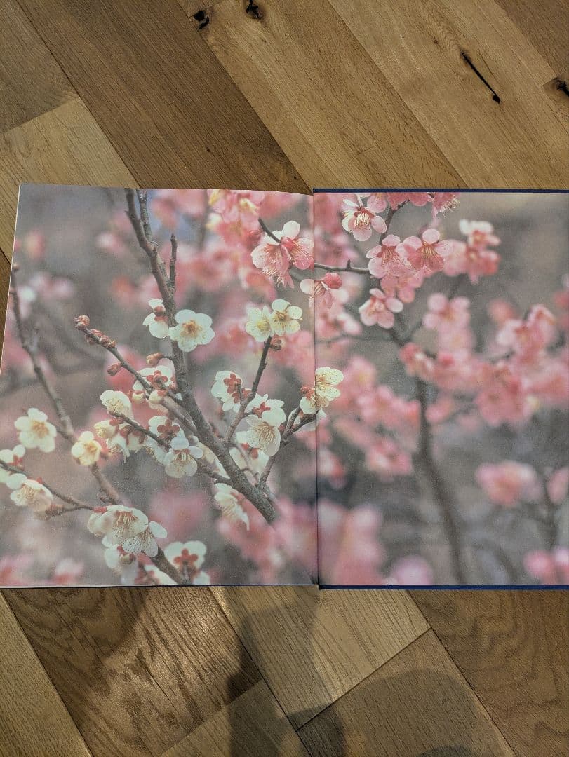 むきもの技法全3巻セット