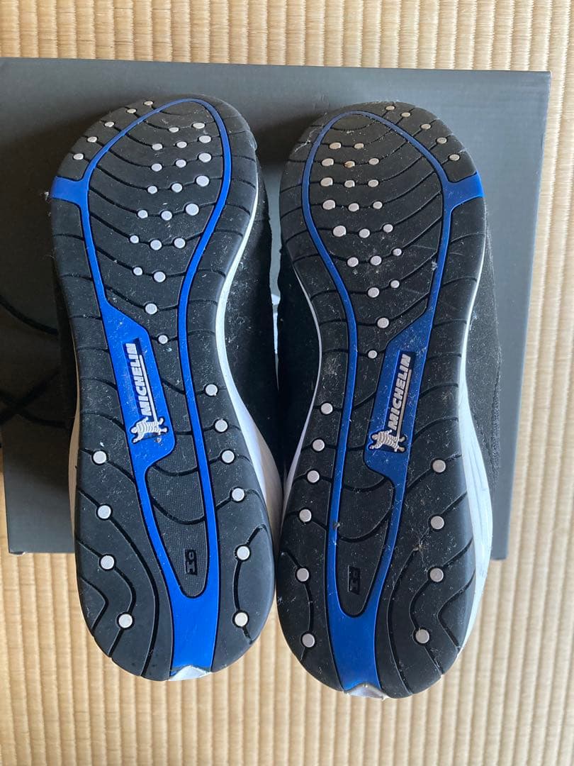 ボクシングシューズ　エバーラスト