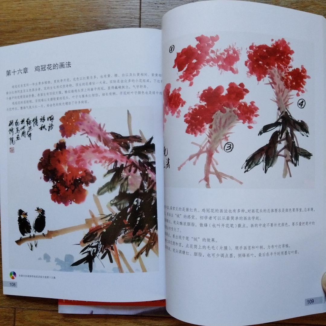 中国水墨画花鳥画大型教科書㊤㊦冊人気画家徐湛著水墨画教室必備品美術教育の座右の書