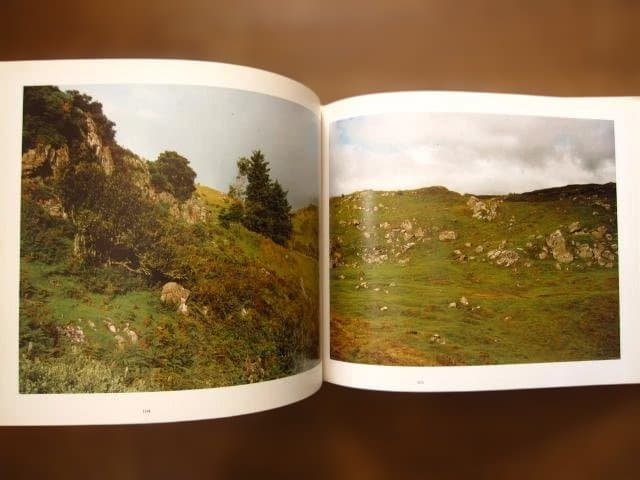 Fotografien 1973 bis 1993　Stephen Shore