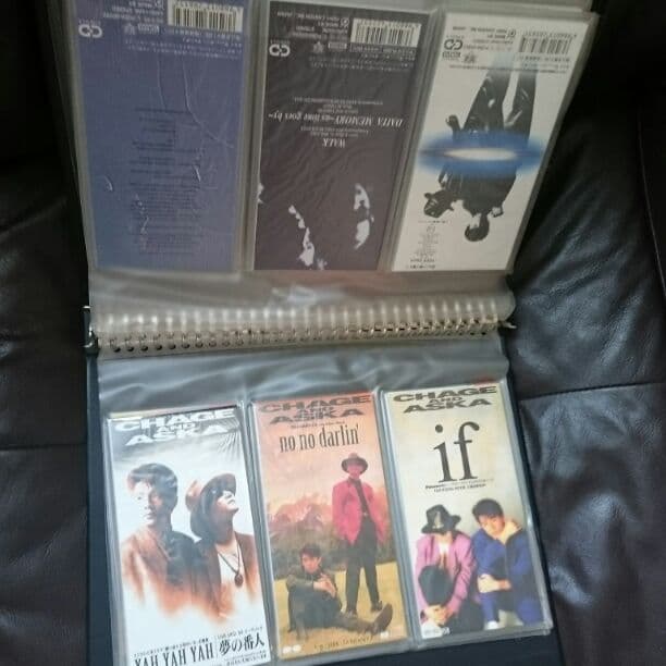 邦楽 CHAGE&ASKA Redhill