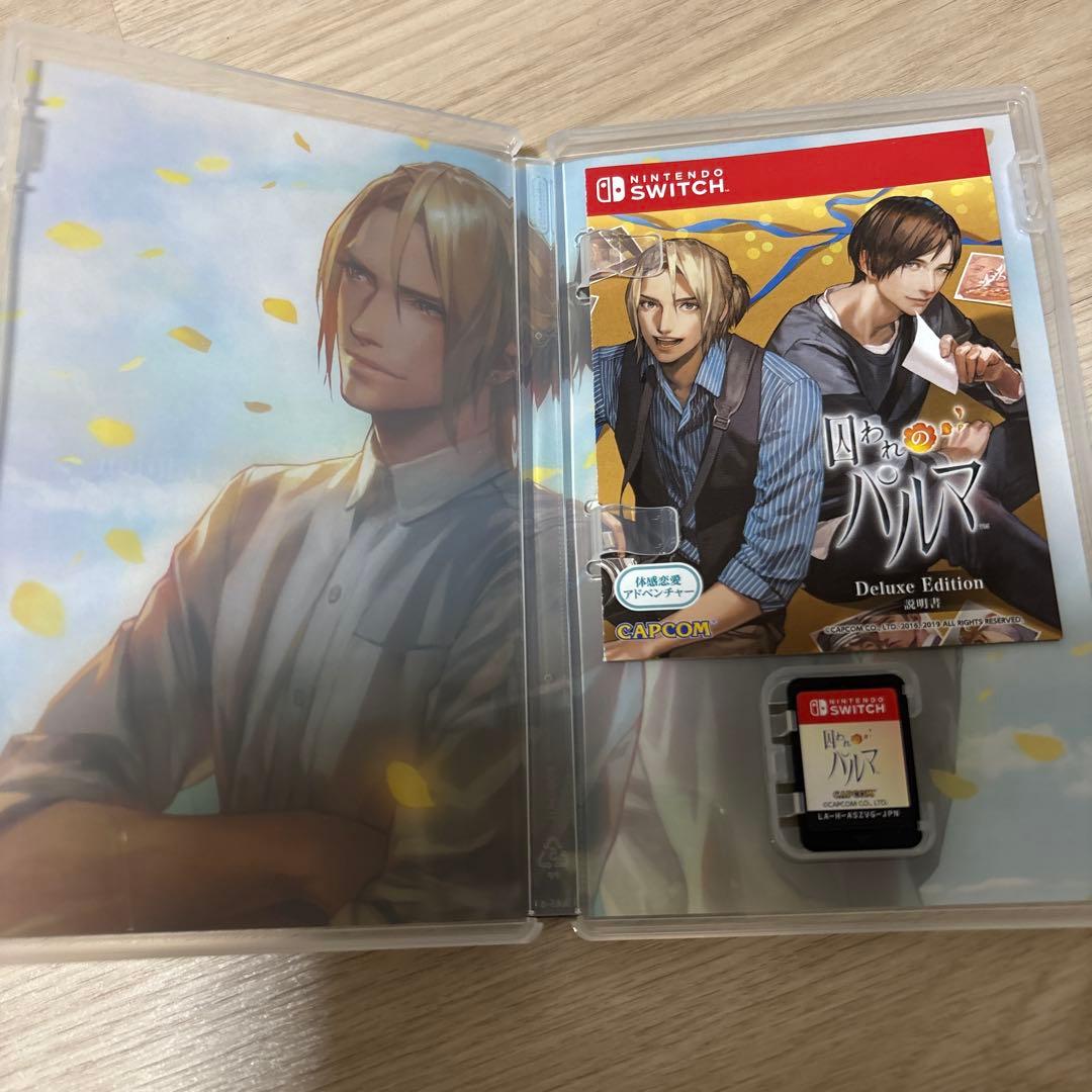 囚われのパルマ Deluxe Edition ニンテンドーSwitch