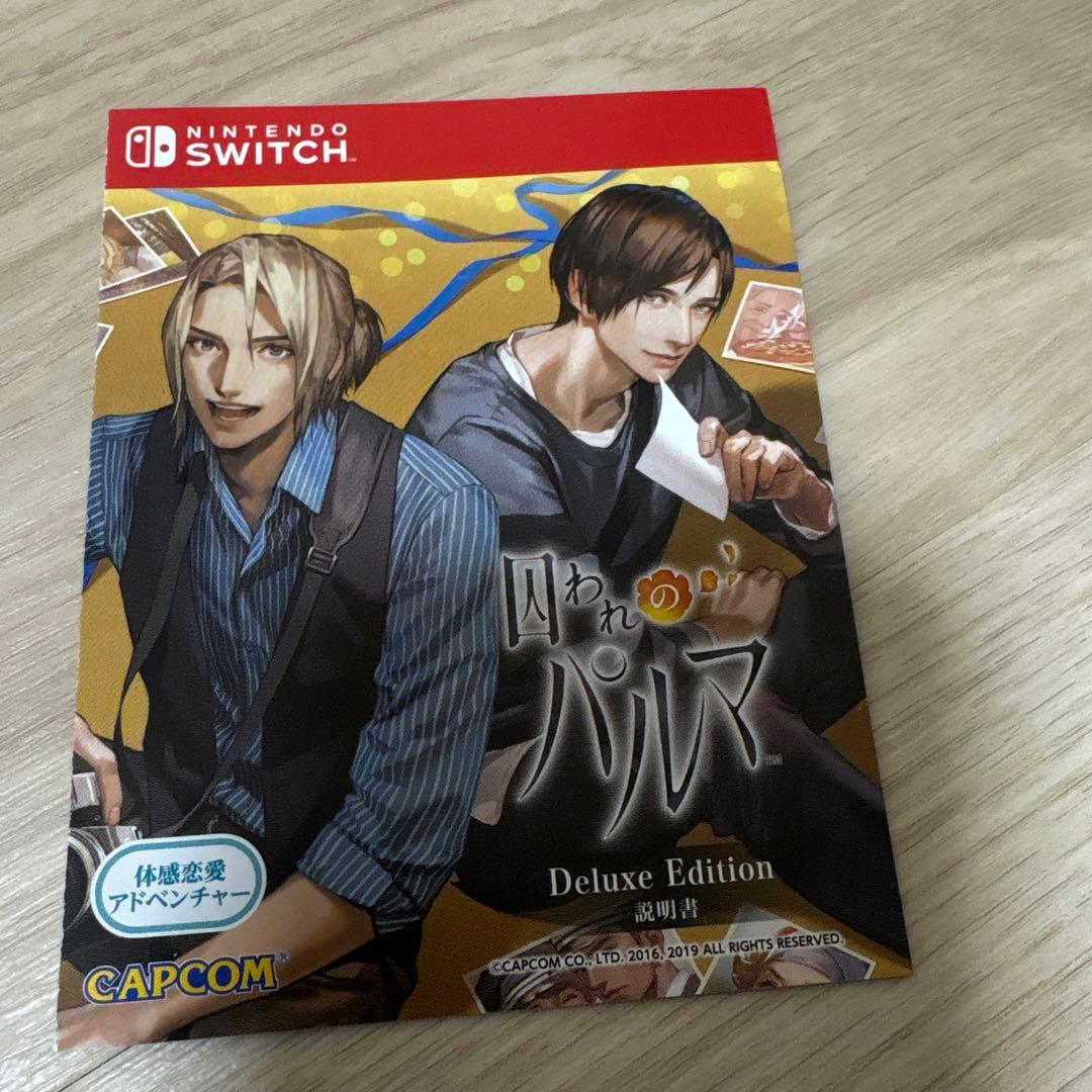 囚われのパルマ Deluxe Edition ニンテンドーSwitch