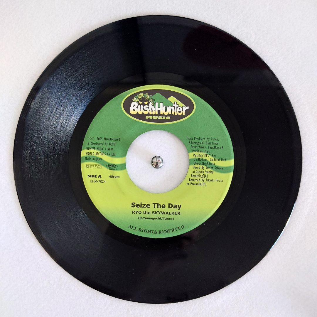 【5枚セット】RYO the SKYWALKER レコード