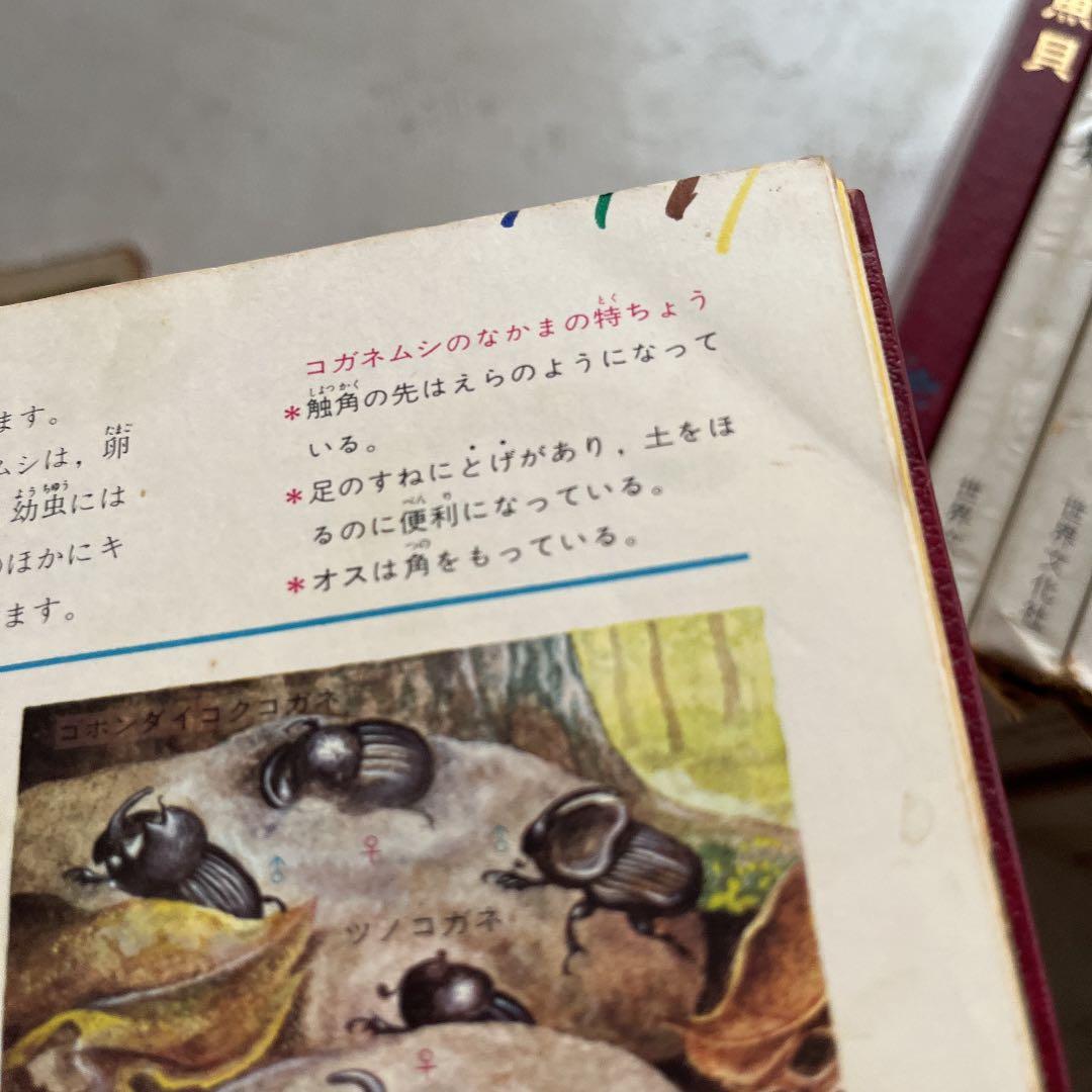 カラー図鑑百科 全24巻セット　世界文化社