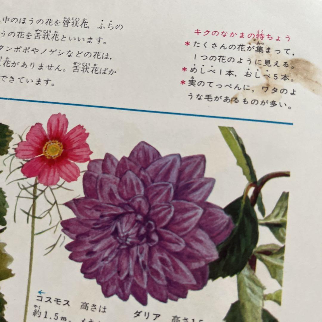 カラー図鑑百科 全24巻セット　世界文化社