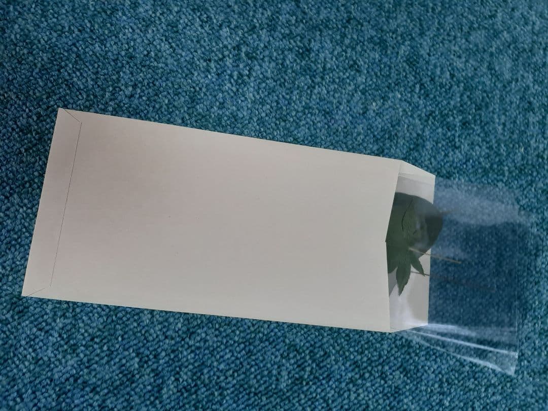 武蔵中学2023年と2024年と2025年の実物入試問題、説明会の資料、３年連続