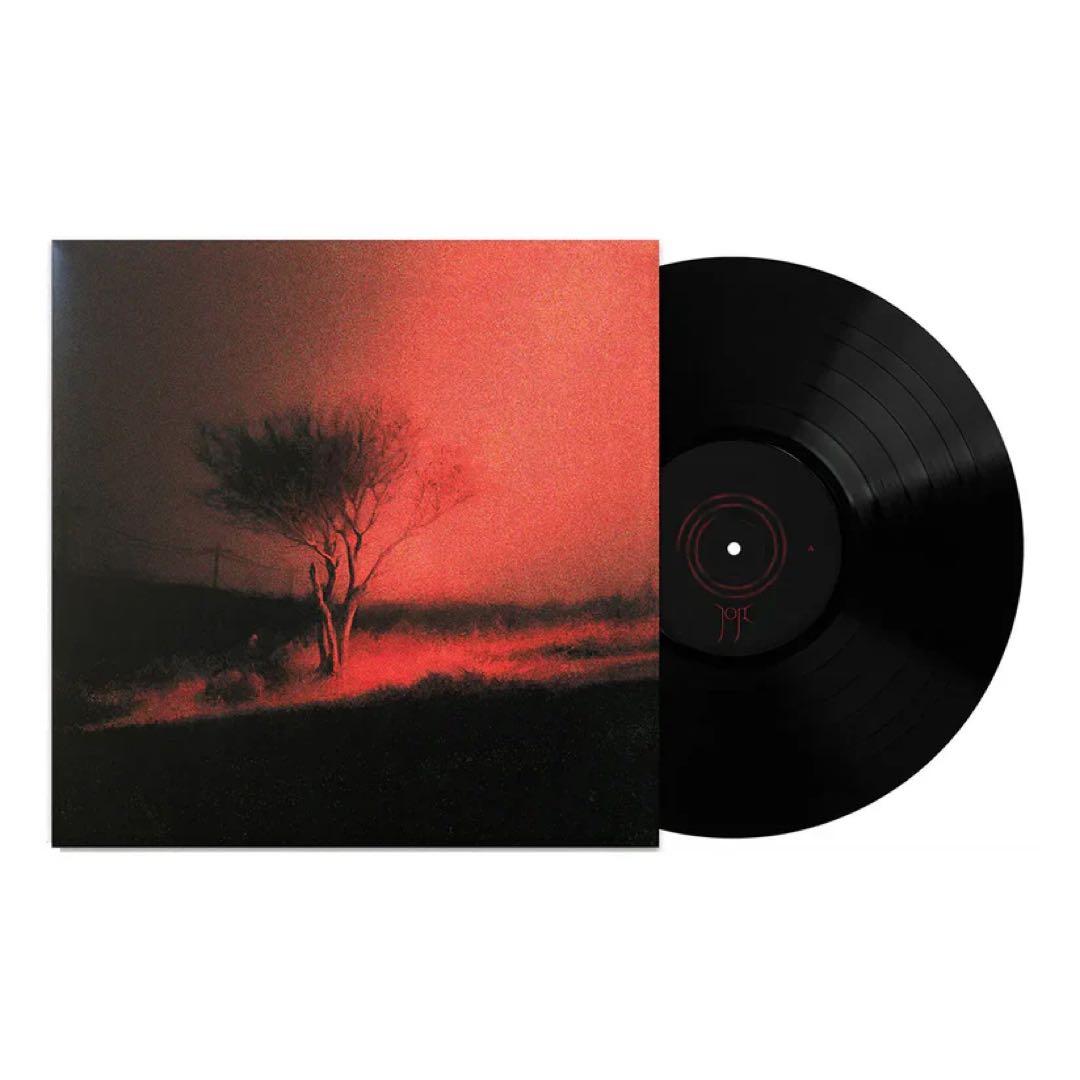 Joji Piss In The Wind レコード