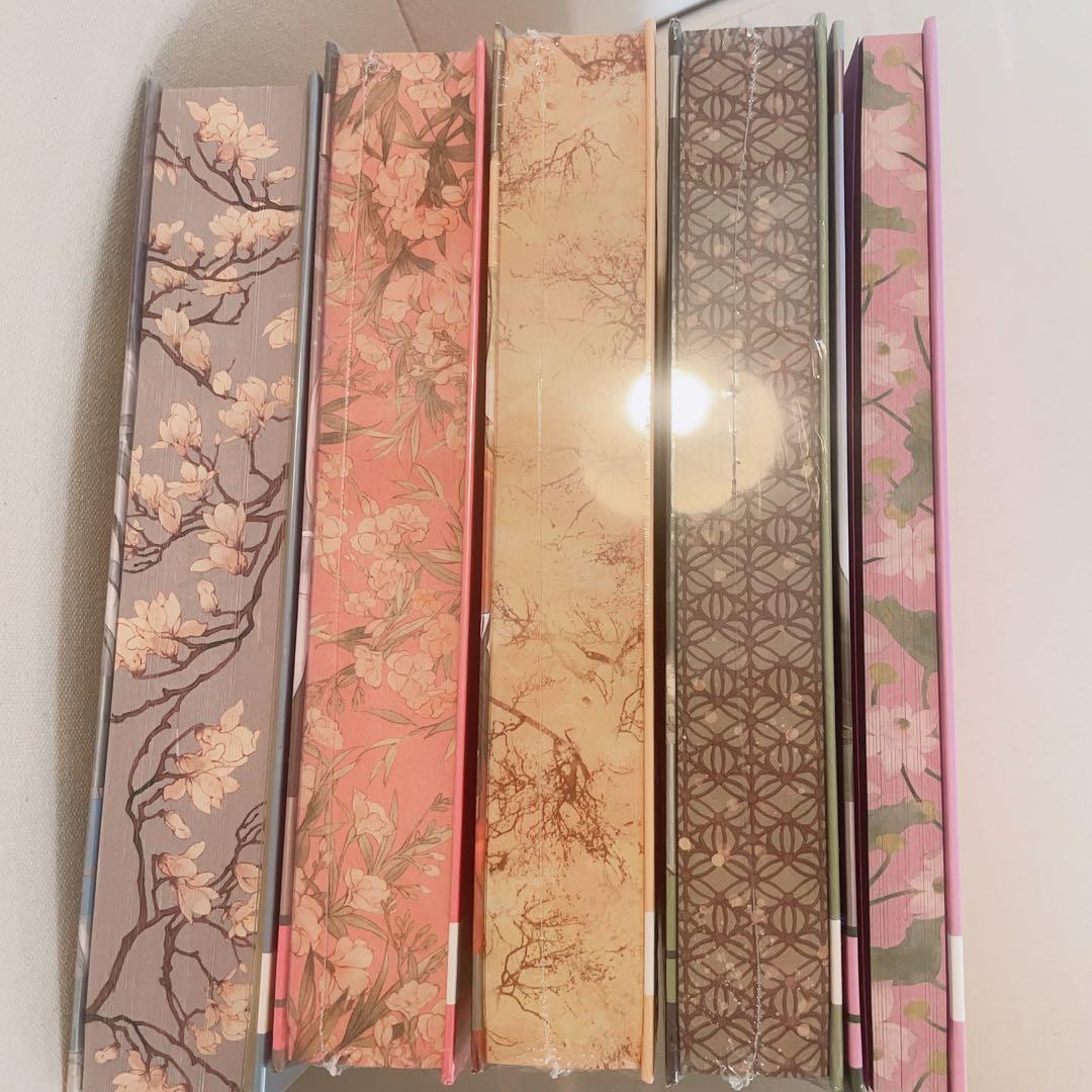 【レア美品】魔道祖師 ドイツ語版 小説全巻収納ボックス付き