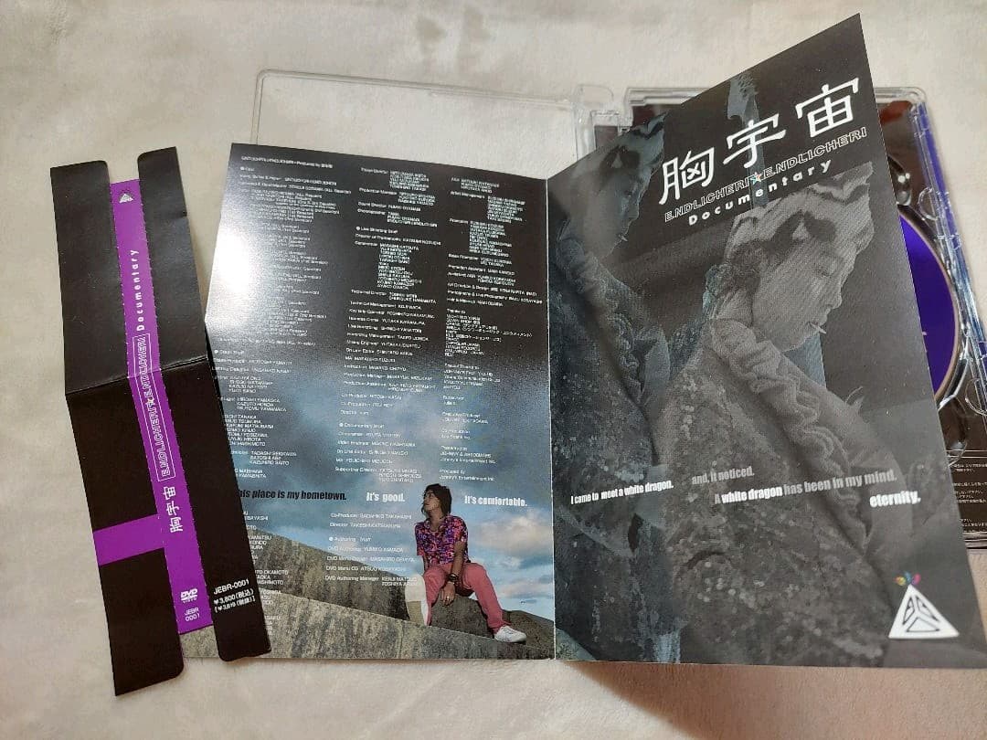 【専用】堂本剛 DVD ENDRECHERI LIVE ENDLICHERI