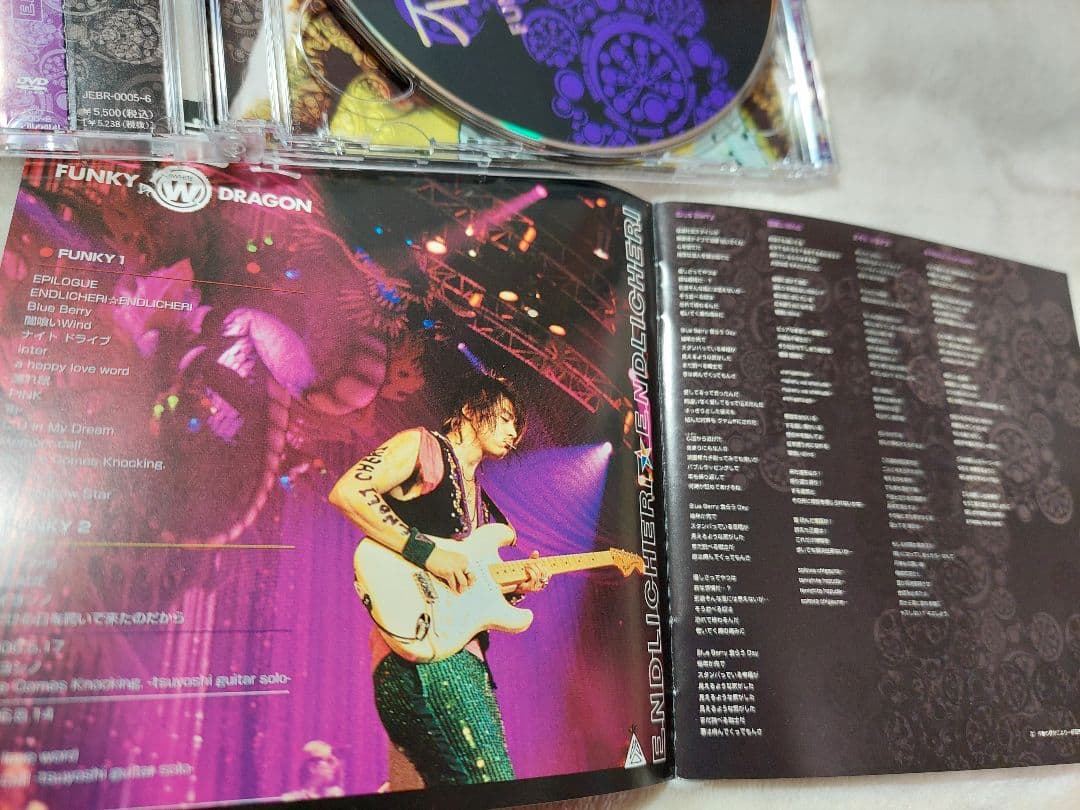 【専用】堂本剛 DVD ENDRECHERI LIVE ENDLICHERI