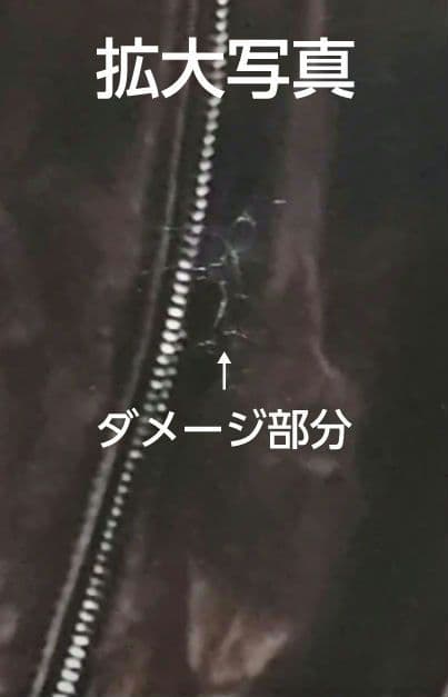 佐野元春 & THE COYOTE BAND HAYABUSA JET Ⅱ 新品