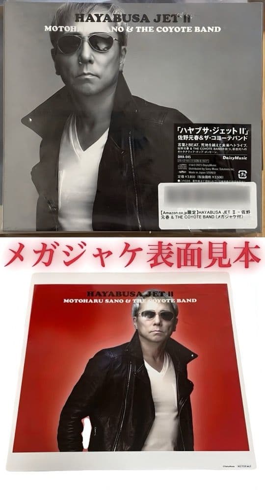 佐野元春 & THE COYOTE BAND HAYABUSA JET Ⅱ 新品