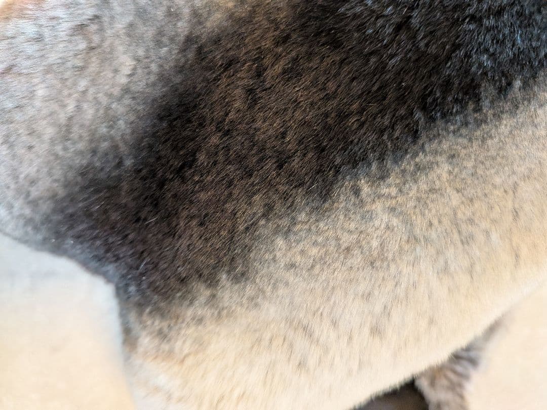 Rene ルネ ティペット マフラー ショール ファー ラビット