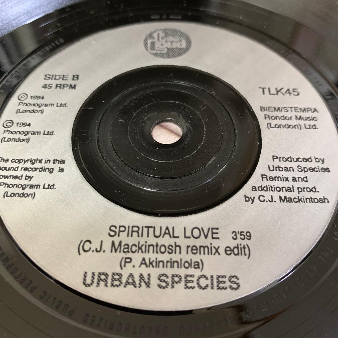 洋楽 Urban Species / Spiritual Love 7inch R&B