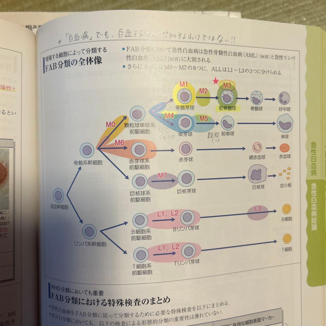 病気がみえる　1〜5、7、8 値下げ