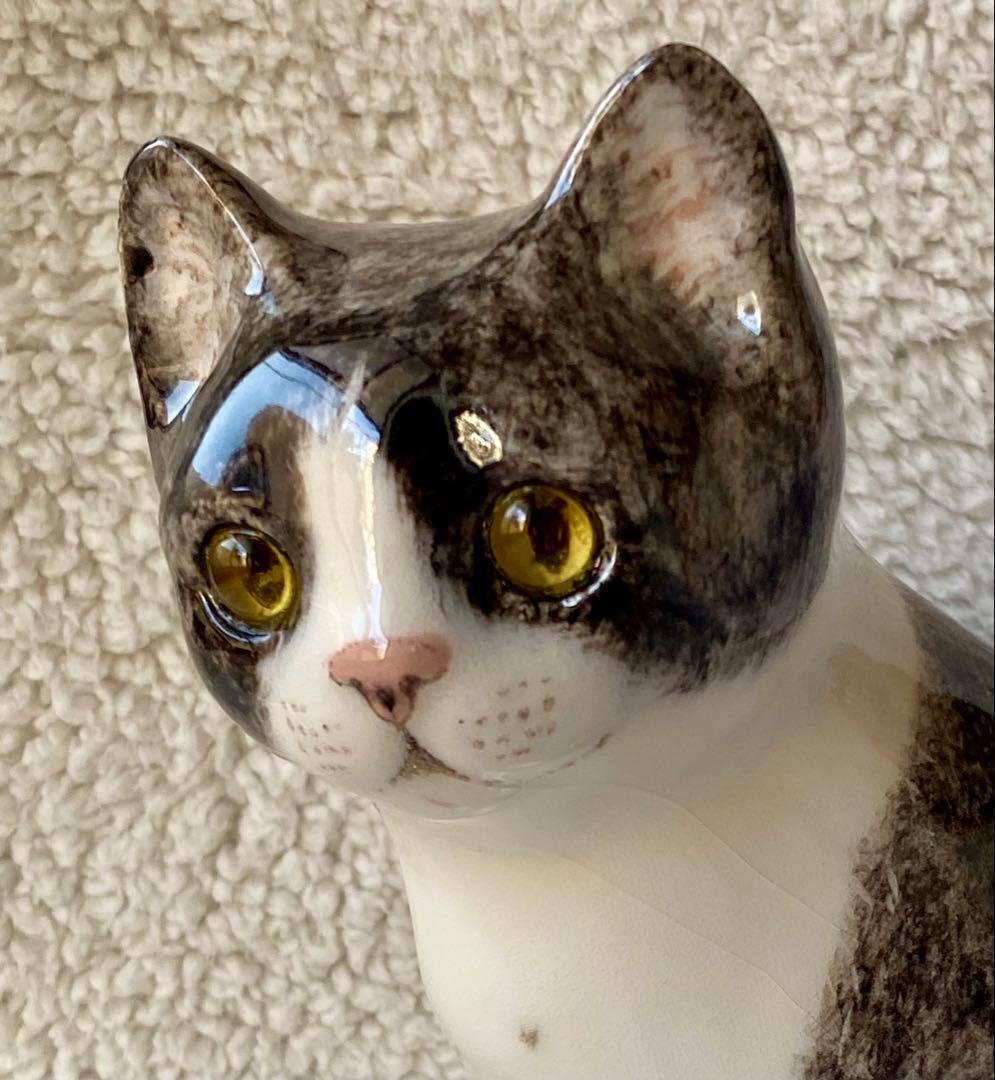 ウィンスタンレイキャット　ケンジントンキャット　ハチワレ猫　サイズ3