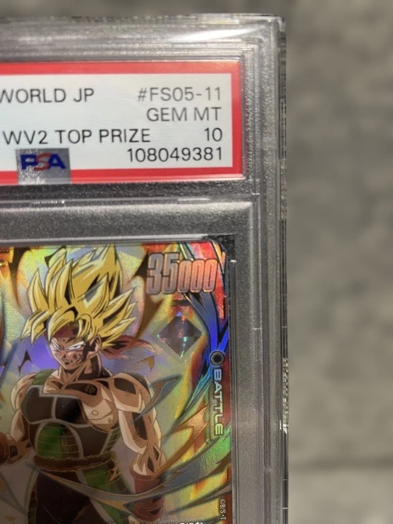 CS バーダック PSA10 FS05-11 DBS FSN WORLD JP