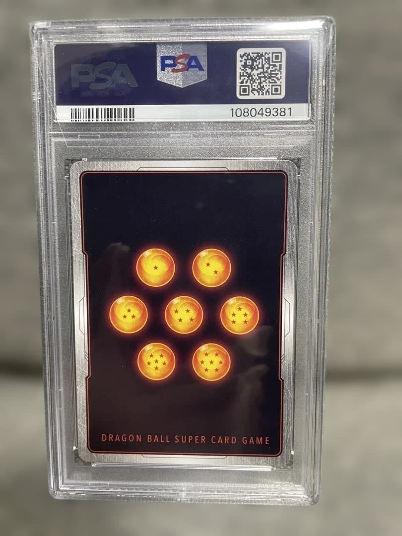 CS バーダック PSA10 FS05-11 DBS FSN WORLD JP