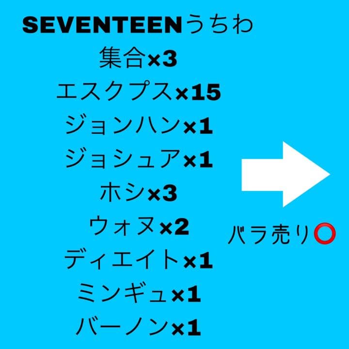 SEVENTEEN エスクプス うちわ 28枚セット