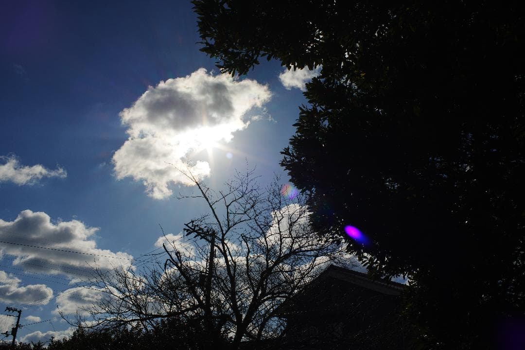 【希少】動作◎ ミノルタ MD W.ROKKOR 35mm F1.8 028