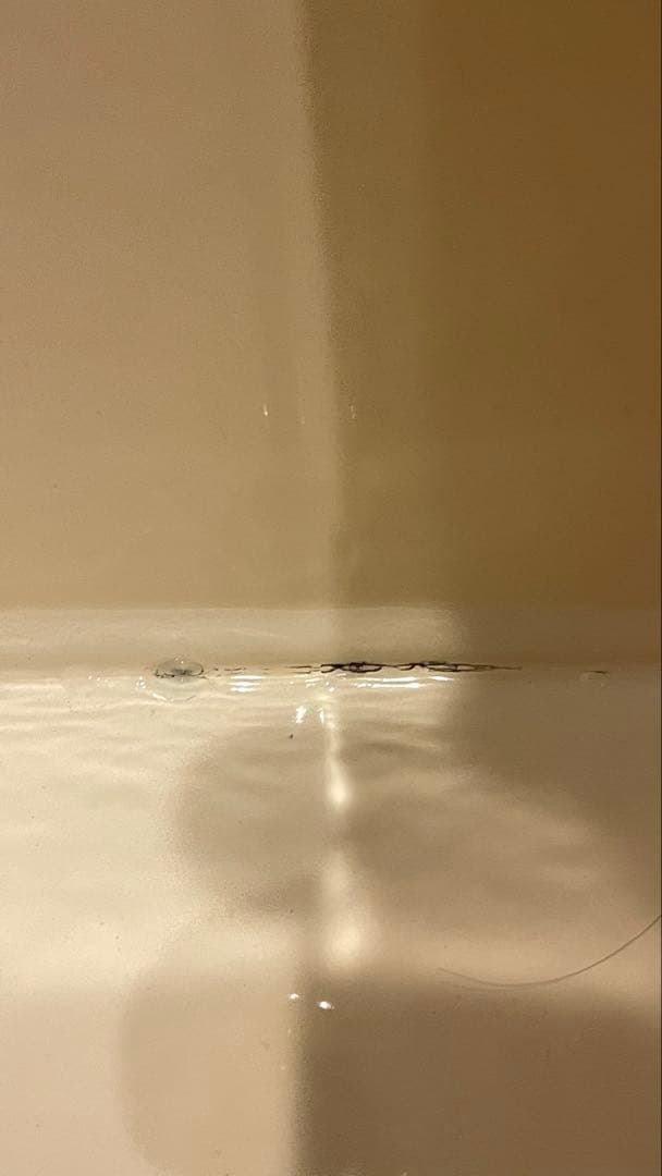 イマン ダイアナローズ　ビード入りBOX缶　美品