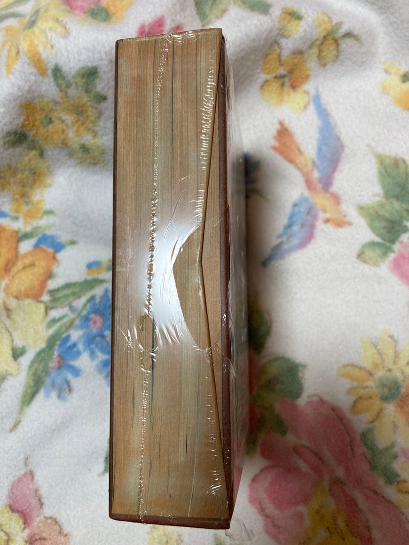 ロードス島戦記★海外版★3DVD★未使用