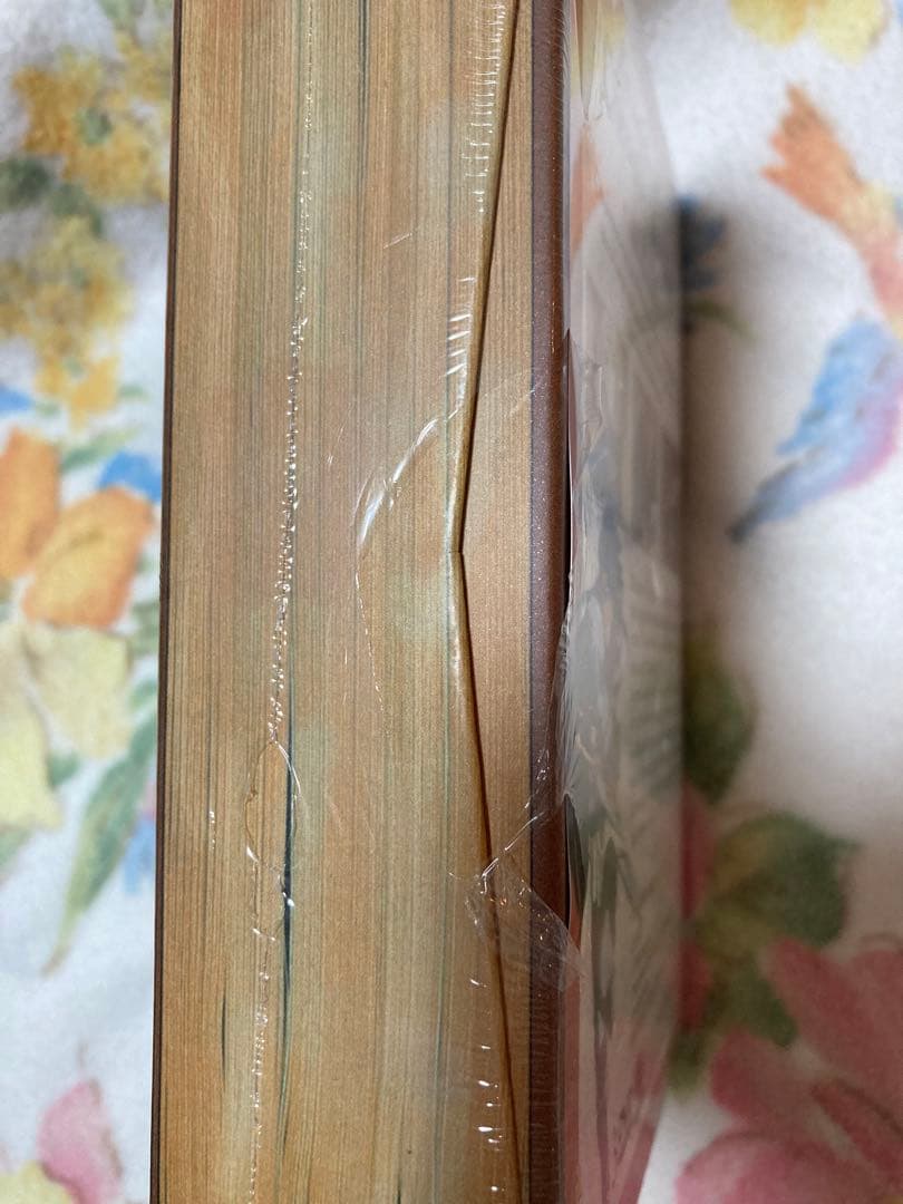 ロードス島戦記★海外版★3DVD★未使用